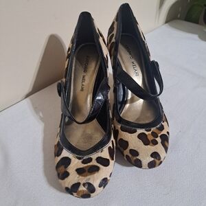 Antonio Melani Leopard Print Women's Shoes